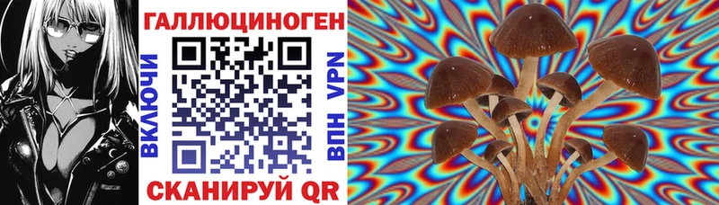 Псилоцибиновые грибы мицелий Брюховецкая